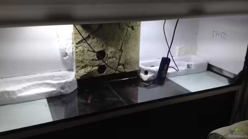 Rückwand im Aufbau! von Polski (7)