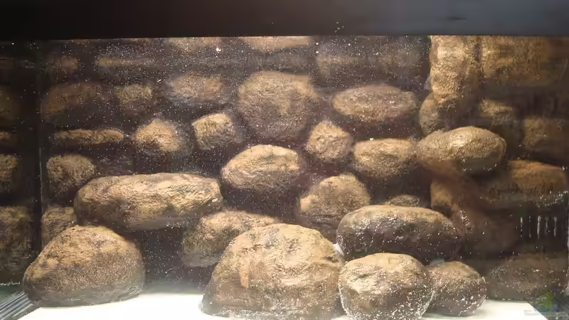 Rückwand im Becken mit Wasser von Der Michel (6)