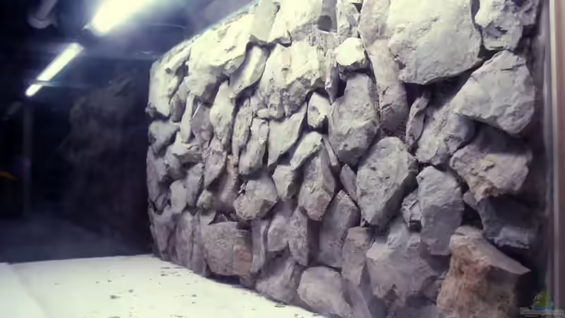 Rückwand im Becken ohne Wasser von Aquamichel (18)