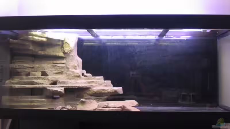 Rückwand im Rohzustand von -serok- (6)