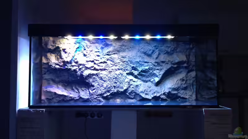 Rückwand im Trockenlauf  von Chimme (19)