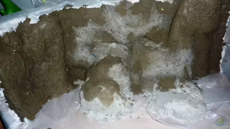 Rückwand in der Entstehung von Philipp Müller (20)