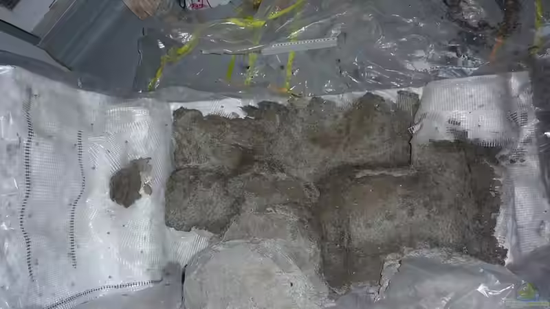 Rückwand in der Entstehung von Philipp Müller (21)