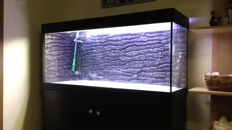 Rückwand ist drin... von Ralf Schmitz (4)