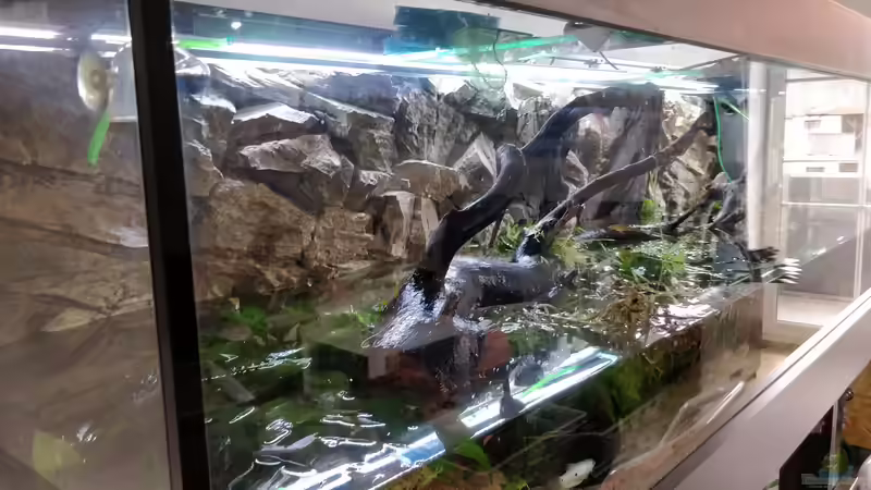 Rückwand ist drinnen von Woidma (31)