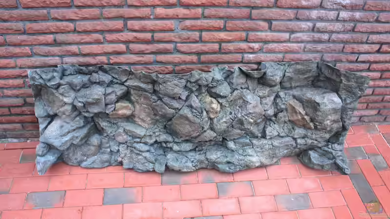 Rückwand Komodo von Koehler (16)