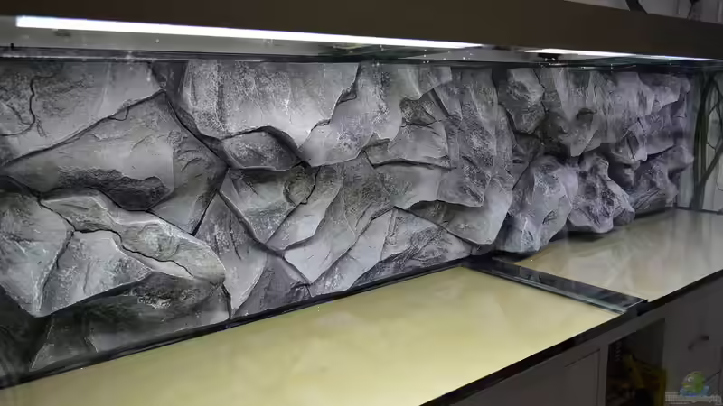 Rückwand komplett eingebaut ! 5 Tuben Aquariumsilikon verbraucht von DaKo77 (28)