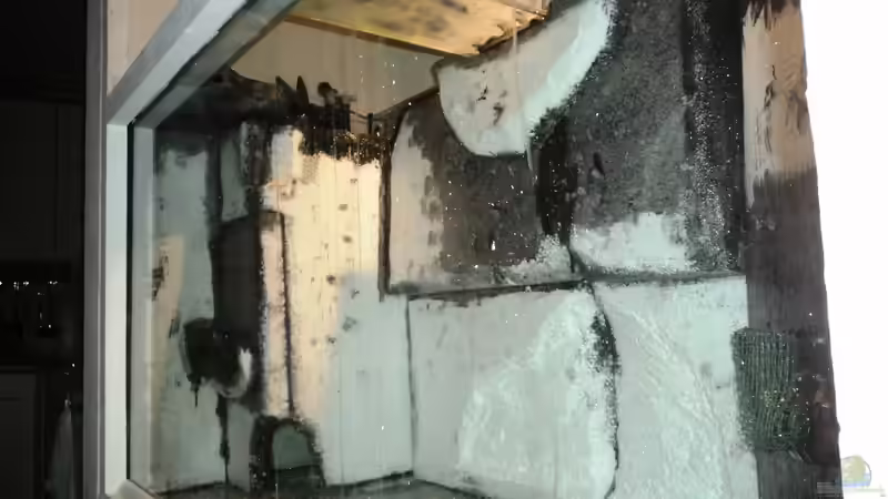 Rückwand li. unbehandelt fertig  von Michael Boeck (23)