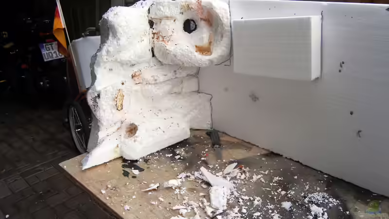 Rückwand links bearbeitet von bossie1704 (19)