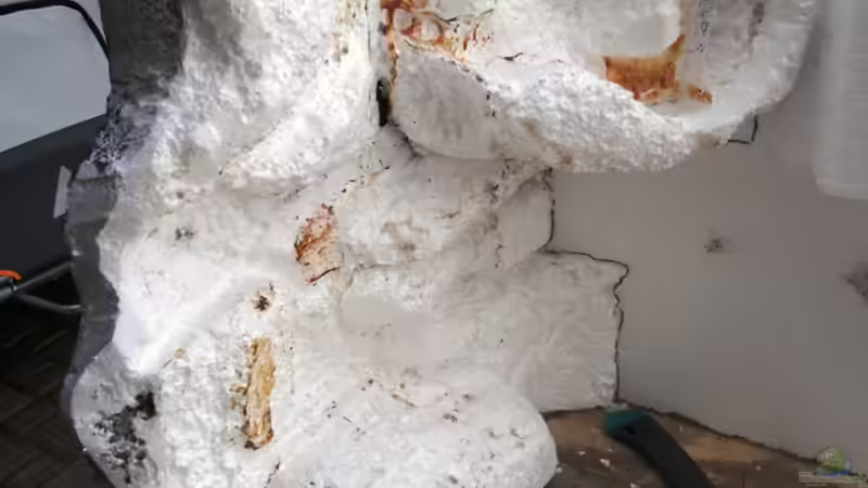 Rückwand links fertig von bossie1704 (20)