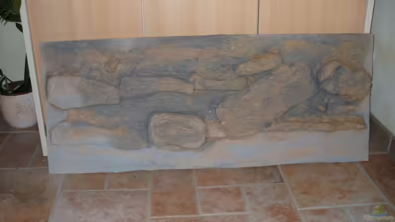 Rückwand Marke ´Eigenbau´ -1- von Knut Hillmer (7)