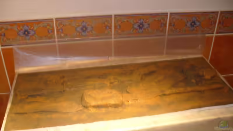 Rückwand Marke ´Eigenbau´ -2- von Knut Hillmer (8)