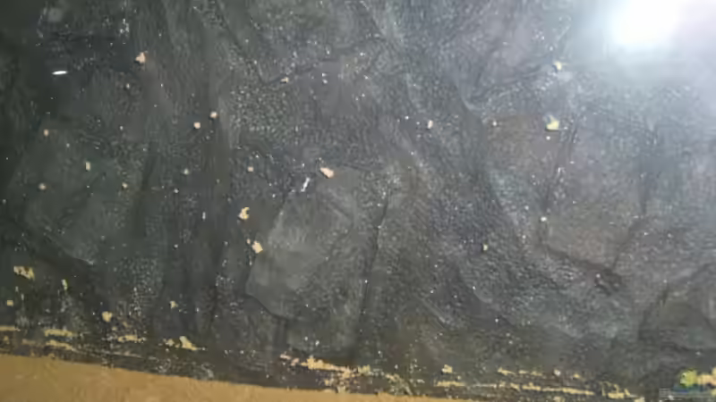 Rückwand Marke Eigenbau aus Styropr und Acrylfarben (hinter dem Becken) 12.05.08 von Domi (2)