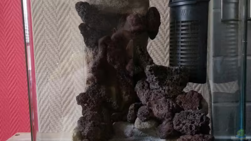 Rückwand mit Lavasteinen von Zomic (8)