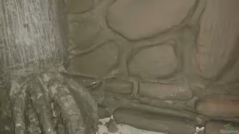 Rückwand mit schnellzement eingepinselt  von Ecky (5)