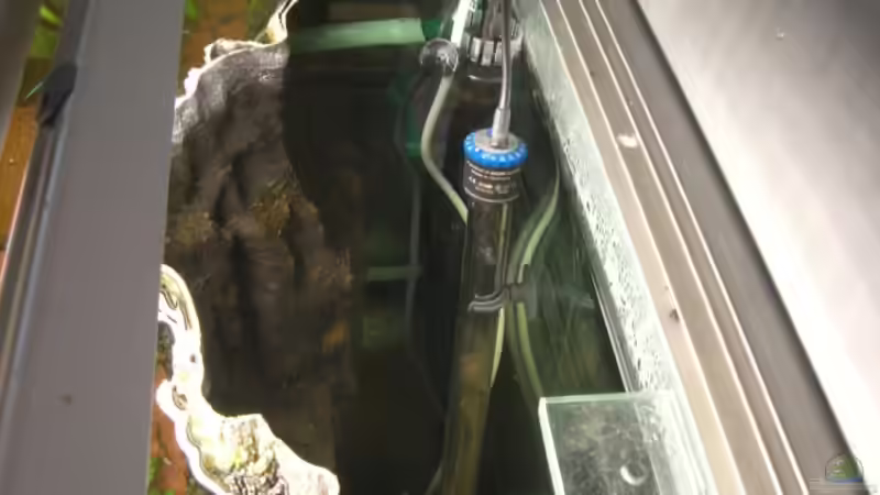 Rückwand mit Technik von Dimi Georgomanos (5)