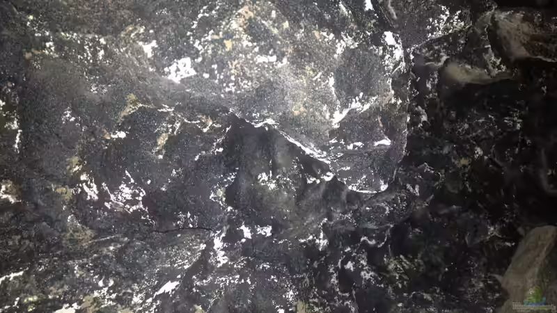 Rückwand mit überhängendem Felsen von Jean-Paul Ambord (16)