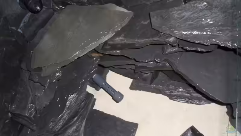 Rückwand mit zu und ablauf noch ohne Wasser von Marc Weise Manuela Schmidt & (3)