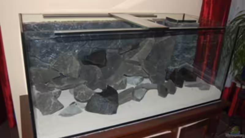 Rückwand mit zwei Lagen Epoxidharz überzogen und im Becken mittels Aq-Silikon verklebt von Claus Becker (7)