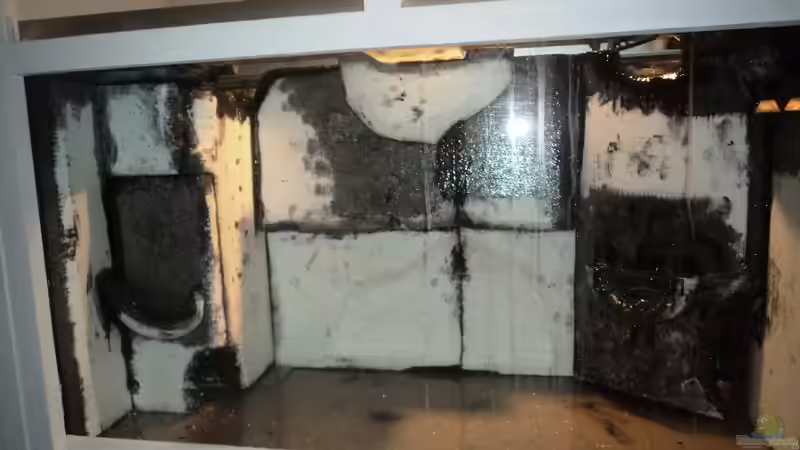 Rückwand mitte unbehandelt fertig von Michael Boeck (24)