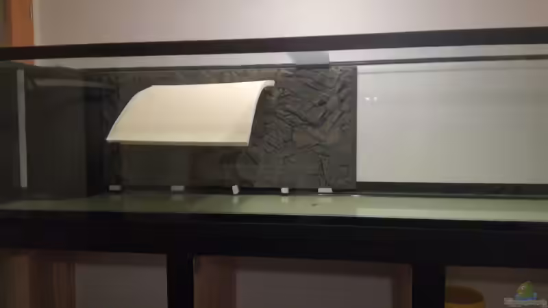 Rückwand Montage von Andreas Rieger (4)