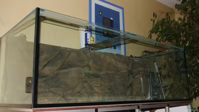 Rückwand nach dem Einkleben von Holger74 (7)