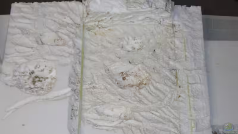 Rückwand nach der Bearbeitung mit dem Lötkolben von Torsten Dau (9)