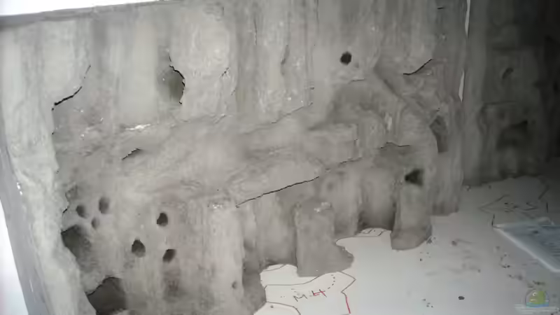 Rückwand nach erstmaligem Zementanstrich von Herbert (10)