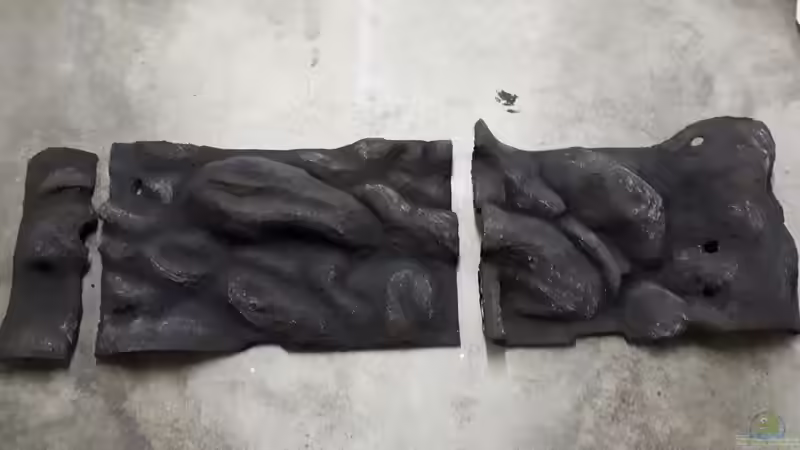 Rückwand nach Färbung von Malawi22 (3)