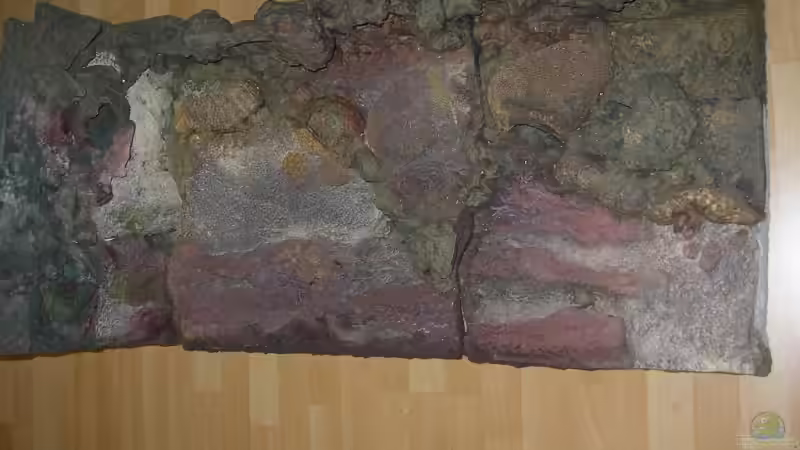 Rückwand Neu überarbeitet  - die versieglung fehlt noch von magunga rock (6)