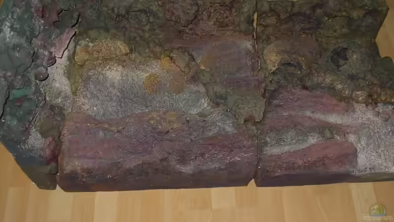 Rückwand Neu überarbeitet  - die versieglung fehlt noch von magunga rock (7)