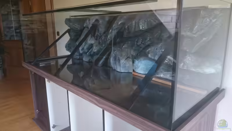 Rückwand noch ohne Verklebung angebracht von Tobias Summerer (30)