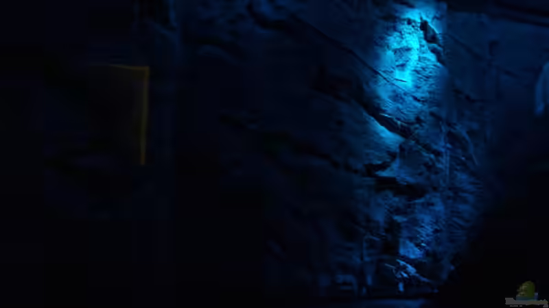 Rückwand noch trocken mit Nachtlicht von Lars Schnabel (8)