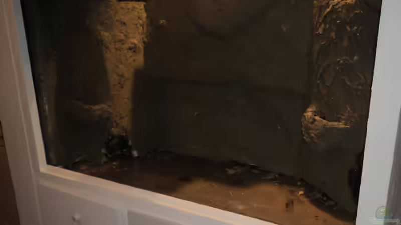 Rückwand re. Fliesenkleber frisch aufgetragen von Michael Boeck (29)