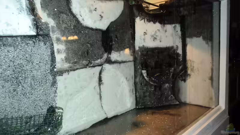 Rückwand re. unbehandelt fertig von Michael Boeck (25)