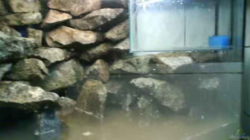 rückwand rechter schenkel von leutert1 (9)