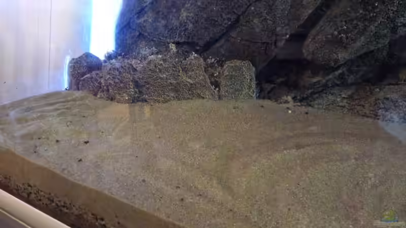 Rückwand Rocky, mit Juwel Terrasse von Guzzi-Werner (22)