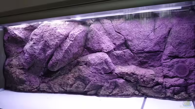 Rückwand Rocky von Guzzi-Werner (5)