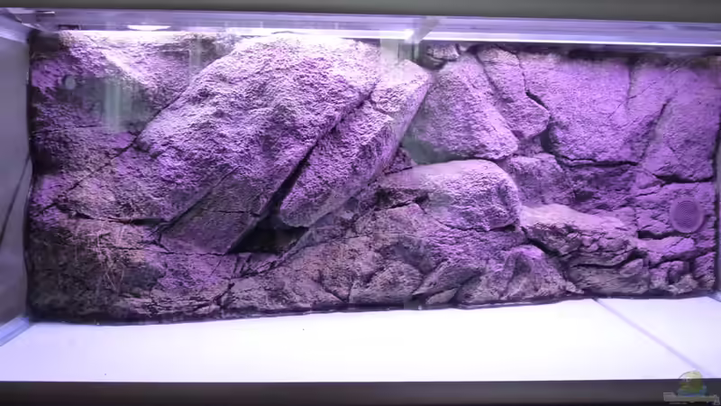 Rückwand Rocky von Guzzi-Werner (6)