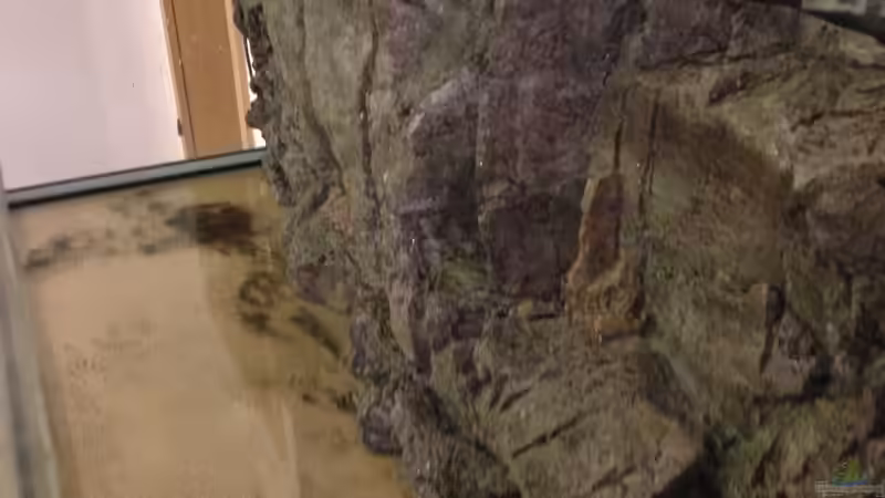 Rückwand Rockzolid Kisar von chR576 (24)