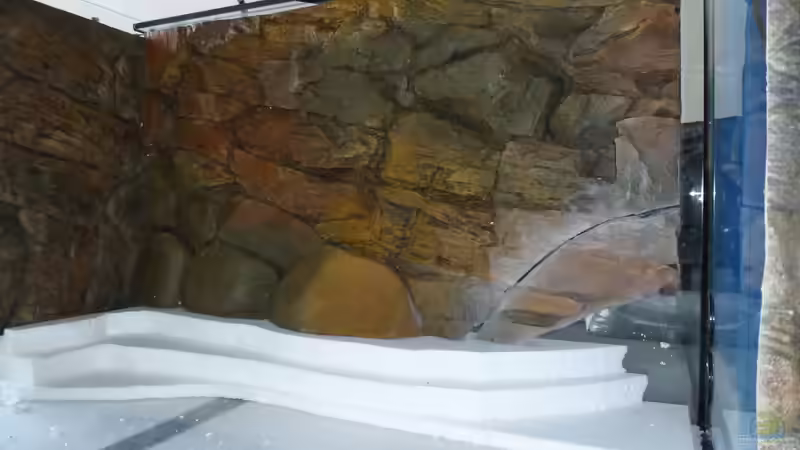 Rückwand Schenkel links von Tobias.Neher (19)