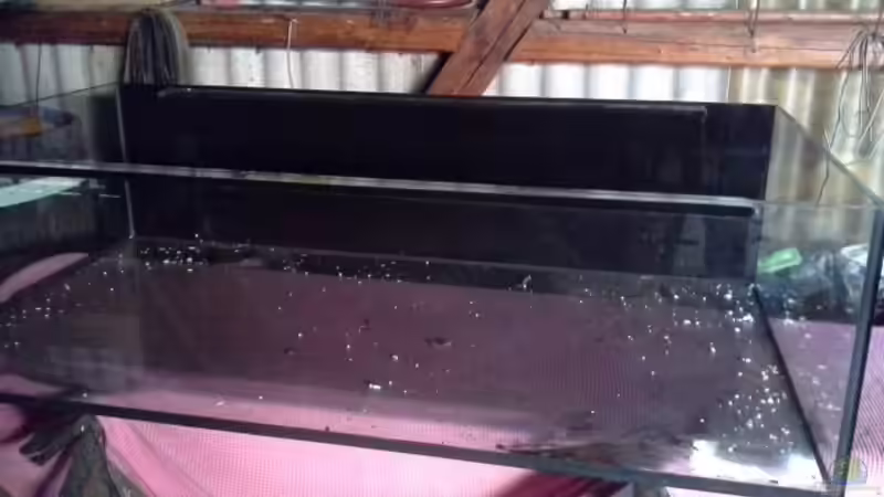 Rückwand schwarz gestrichen.  von Markaroni (20)