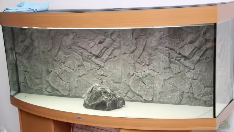 Rückwand und Bodenplatte wässern von MbunaTowers (5)