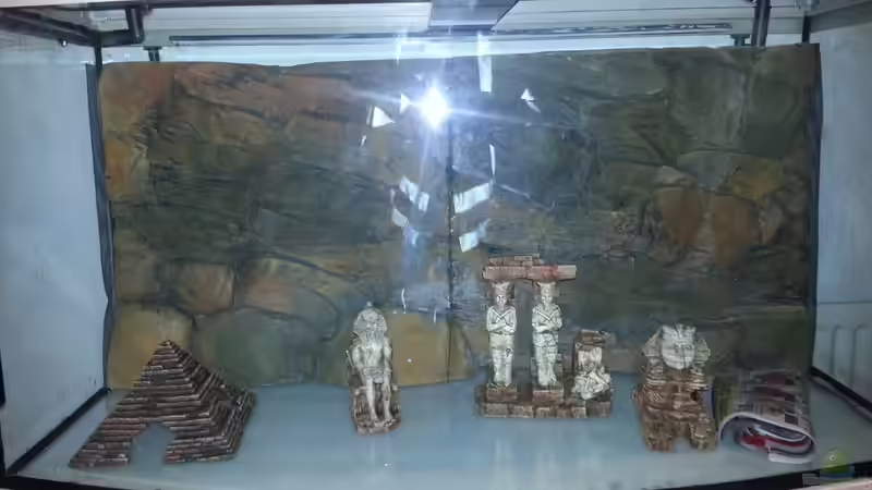 Rückwand und Deko sind da von Sascha Mayr (3)