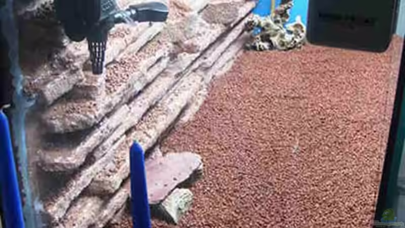 Rückwand und HMF vor Inbetriebnahme von Werner Müller (14)