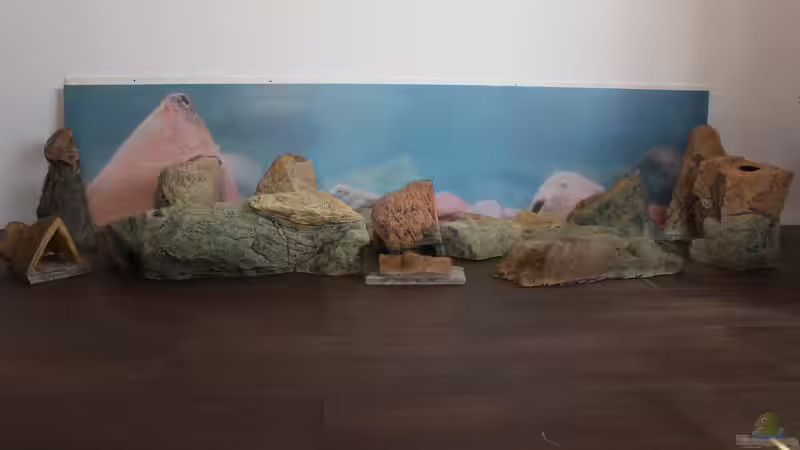 Rückwand und Module von Erik S. (2)