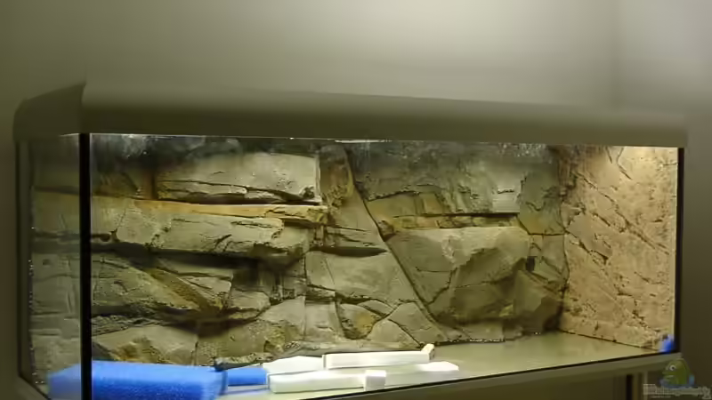 Rückwand und Seitenwand sind eingebaut und trocknen aus von Georg Botz (12)