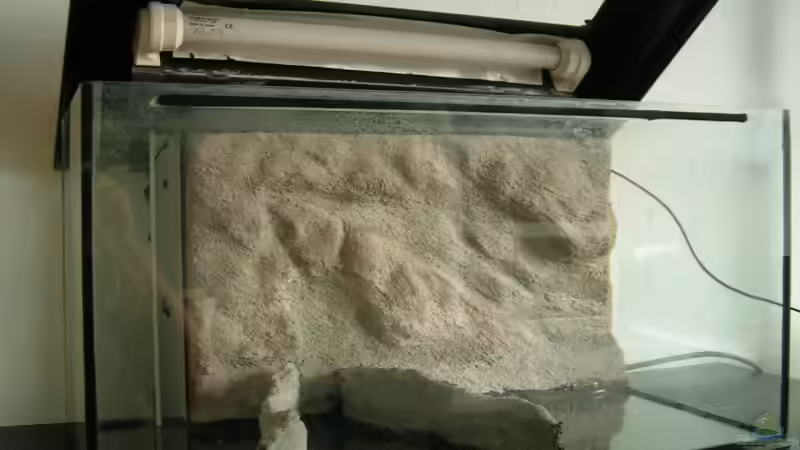 Rückwand und Terassen eingebaut von Der Analyst (3)