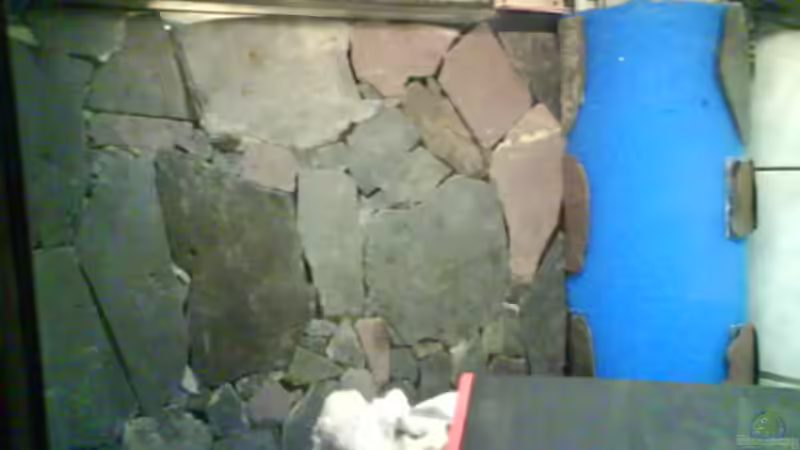 rückwand ung hmf von leutert1 (2)