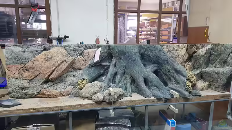 Rückwand von Bartleby (4)